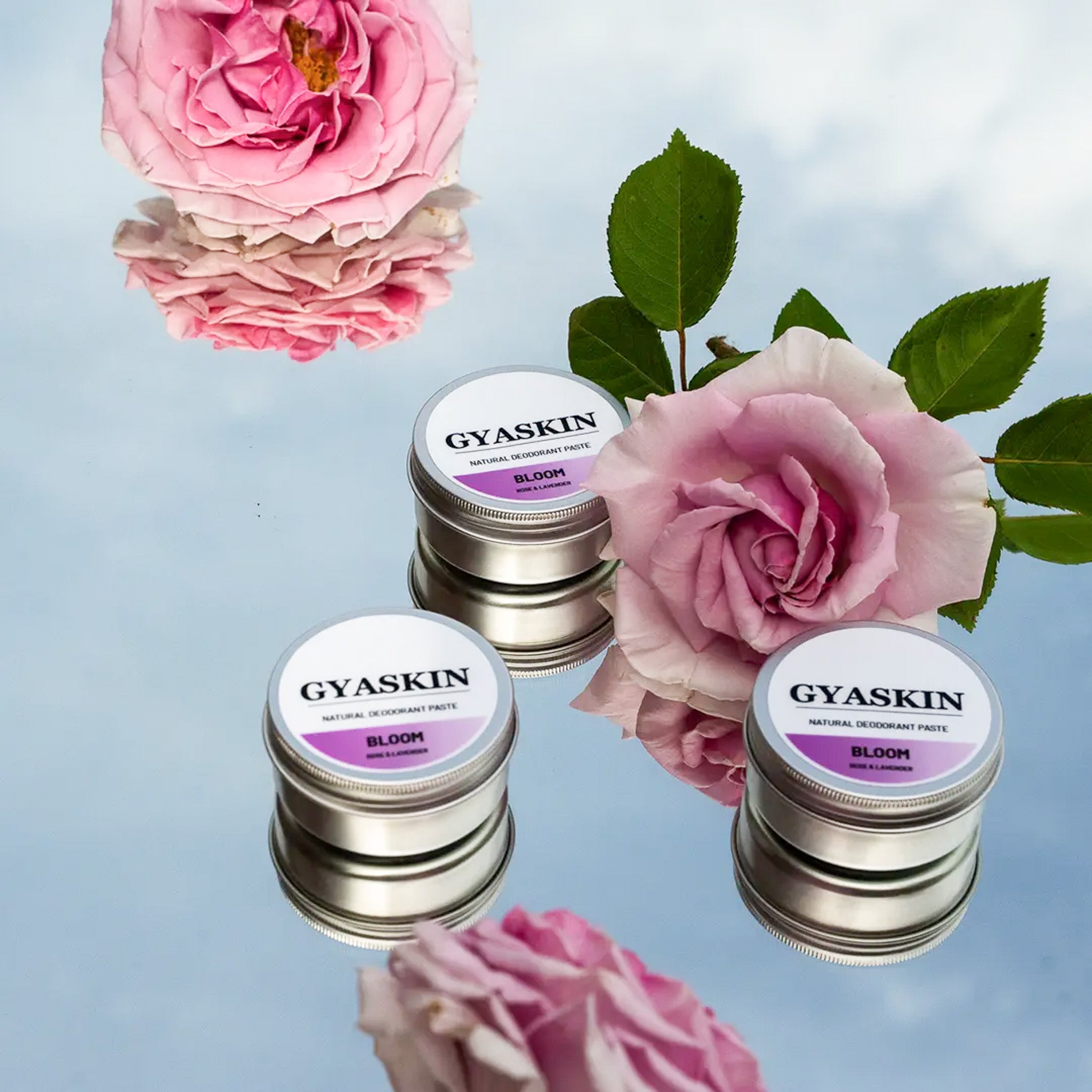 3 pack Bloom